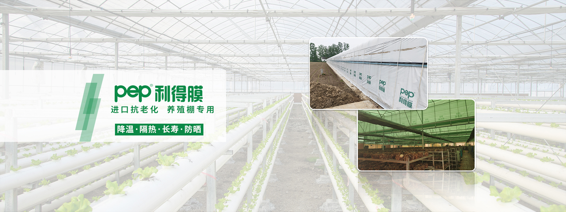 黑白膜、pep利得膜